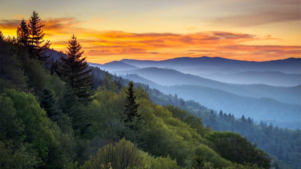 Taman Nasional Pegunungan Great Smoky