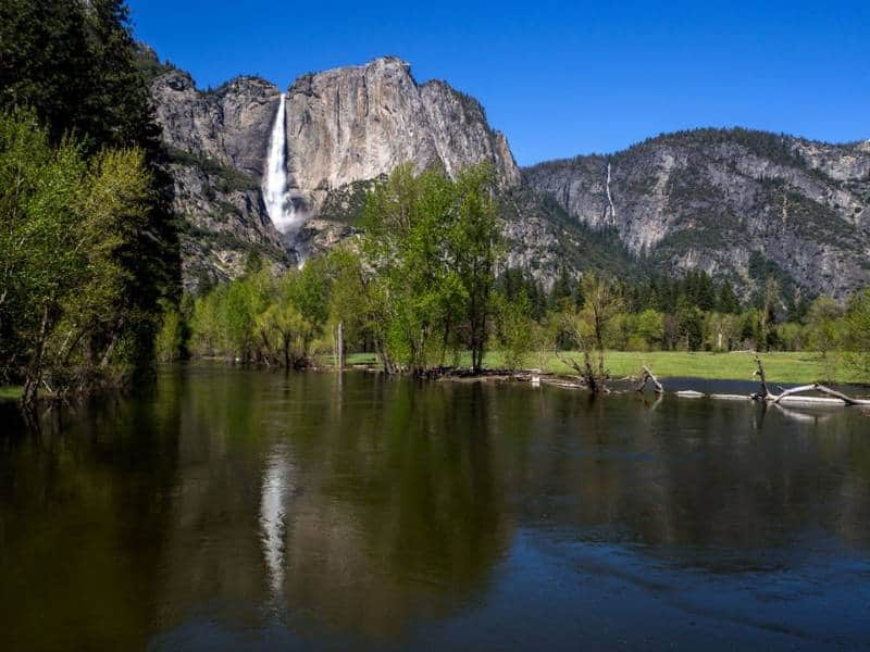 taman nasional yosemite