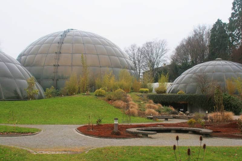  Zurich Botanical Garden