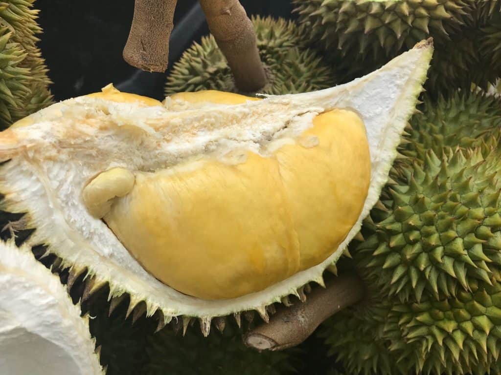 durian monthong thailand
