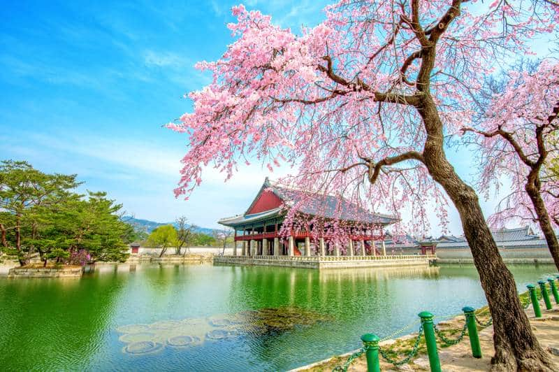 wisata di korea selatan