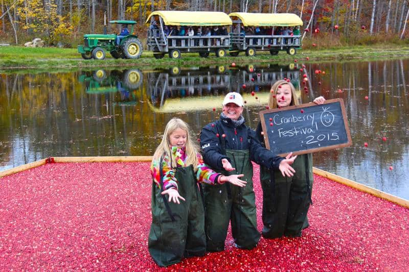 bala cranberry festival