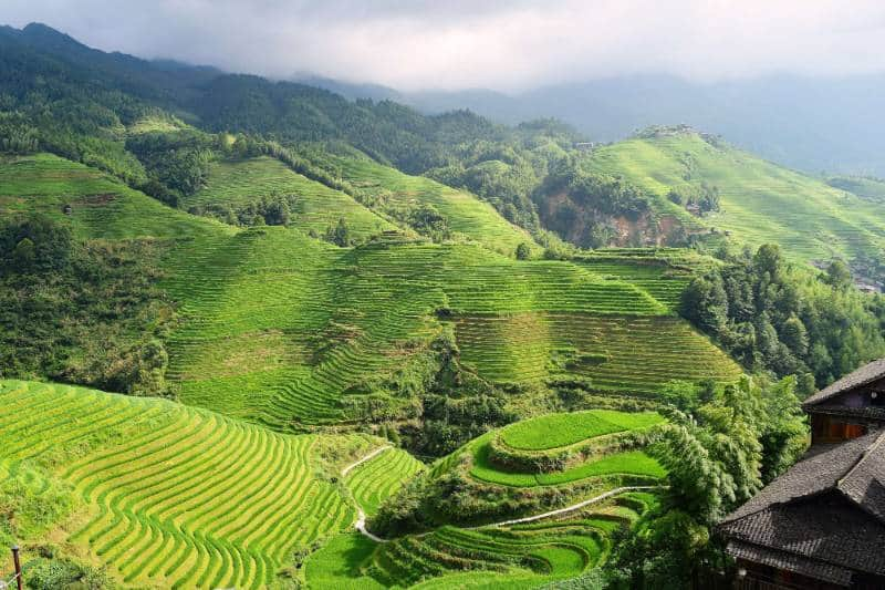 Banaue 