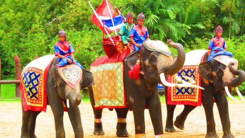 elephant theme show