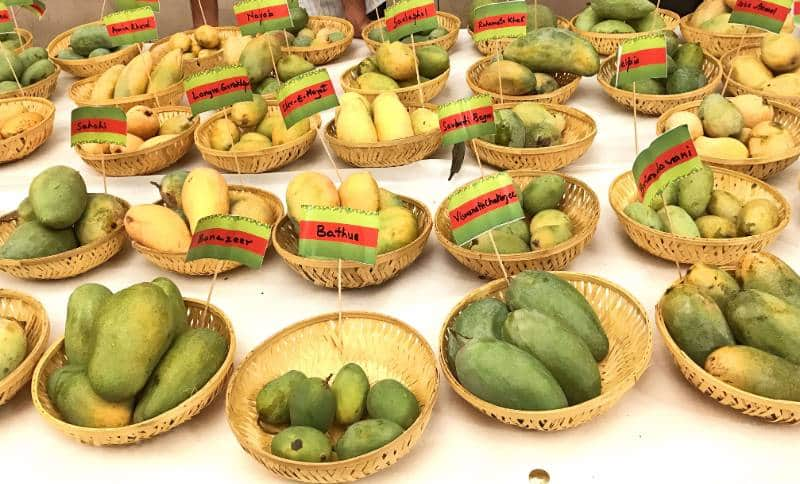 international mango festival