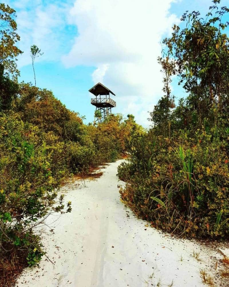 Padang Pasir Kersik Luway 