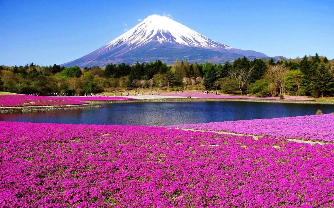 5 Gunung Terindah Di Jepang Gagah Dan Menawan
