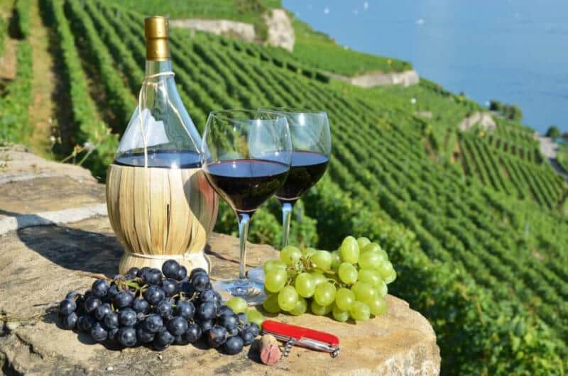  Wine Tuscany