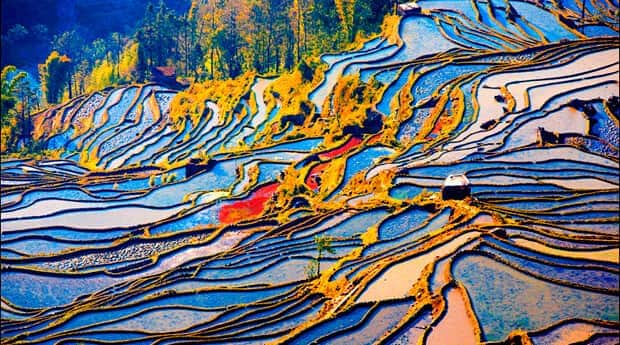 Yuanyang Rice Terraced Fields