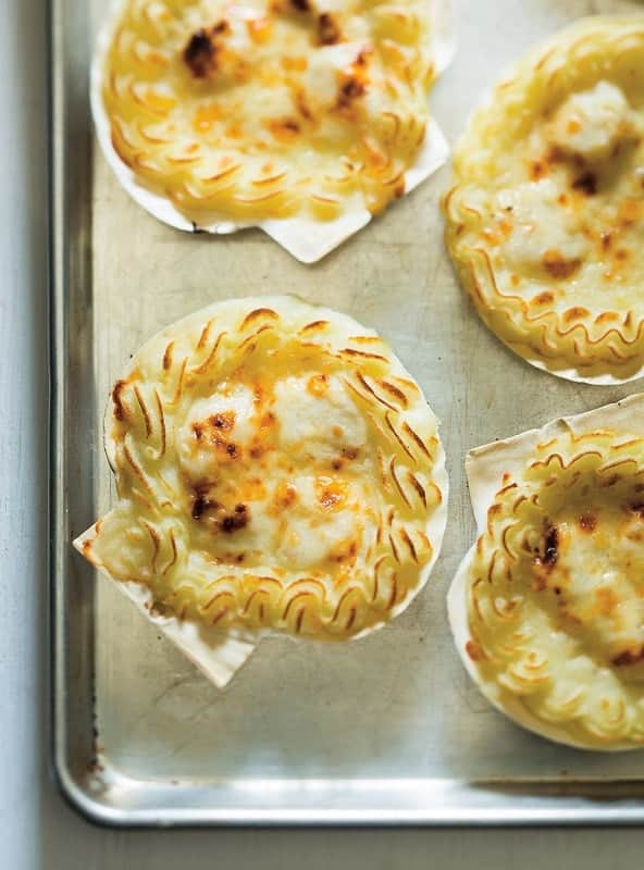 coquilles saint jacques