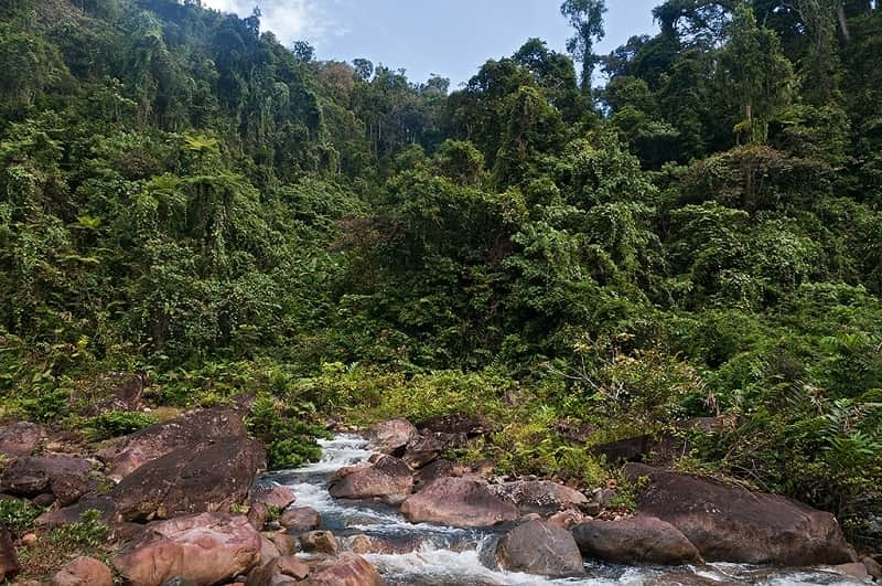 masoala national park