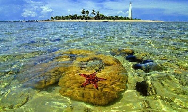 Pulau Segajah