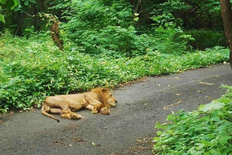 taman nasional paling angker di dunia