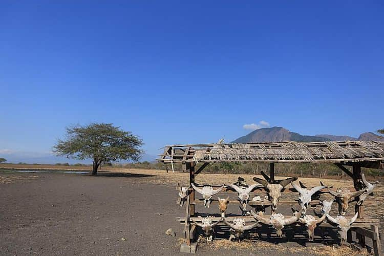 taman nasional baluran