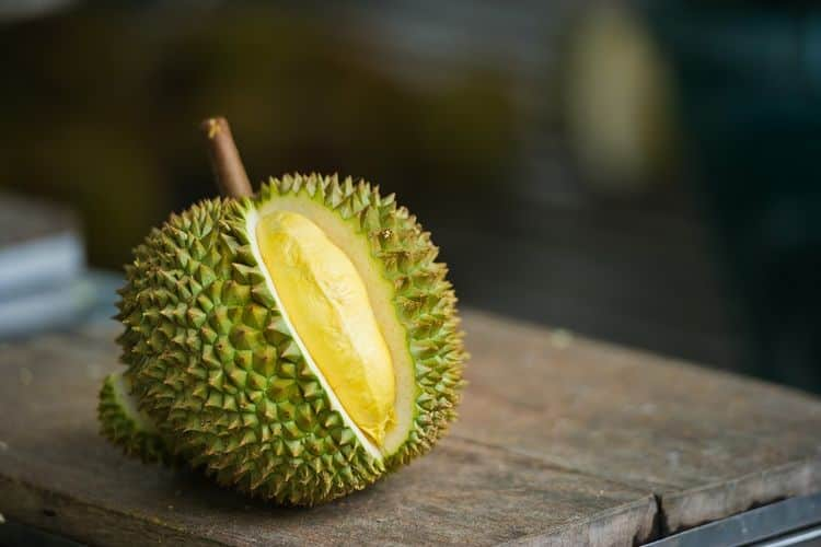 Wisata Kampung Durian