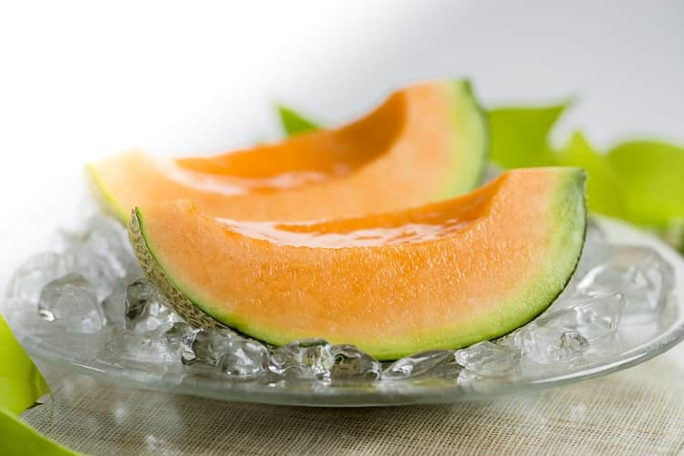 Yubari Melon