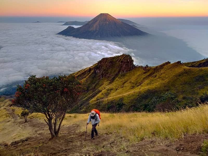 gunung sumbing