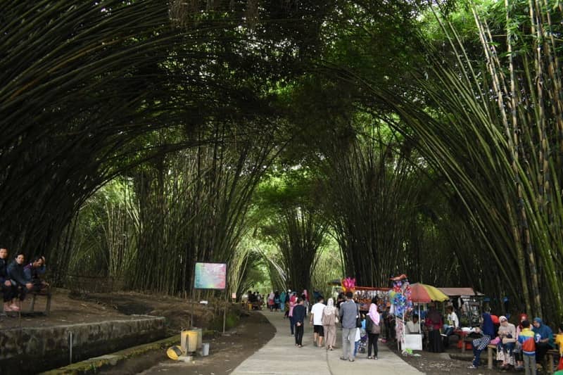 Wisata Hutan Bambu
