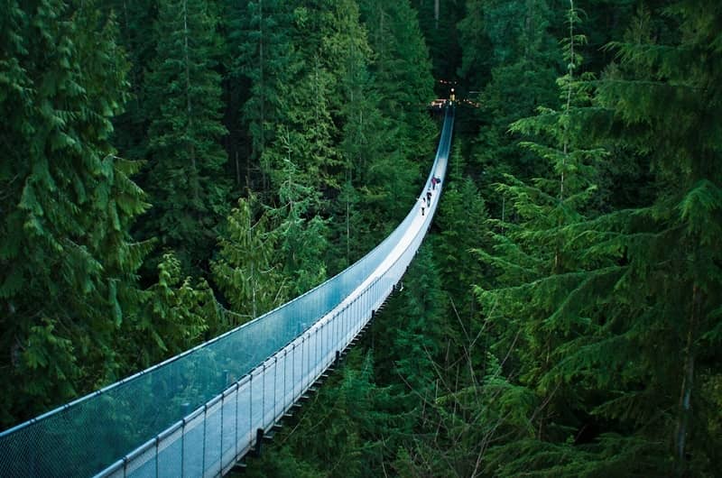 Jembatan gantung tertinggi di dunia