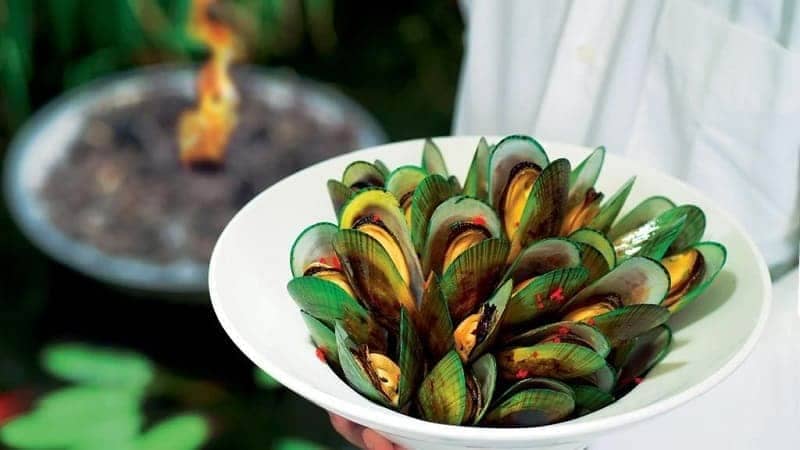 Kerang Hijau