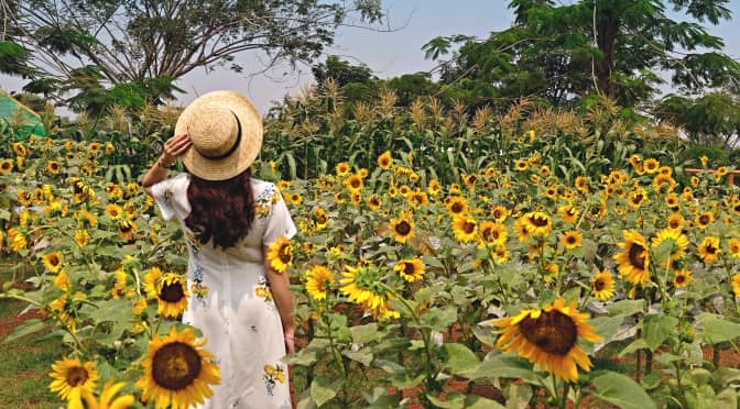 Taman di Tangerang untuk refreshing