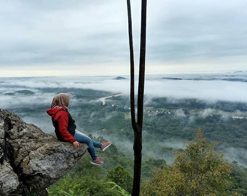 Bukit Ngarau Merangin