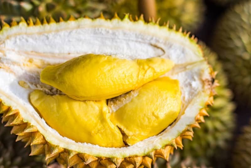 Durian Lokal khas Majalengka