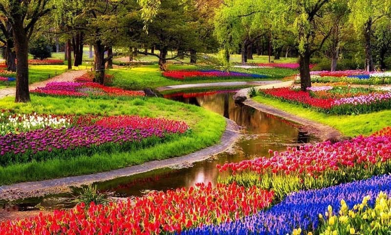 Keukenhof Garden