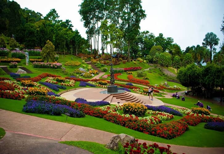  Taman Mae Fah Luang