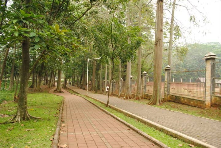 Hutan Kota Universitas Indonesia