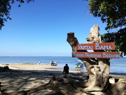 Pantai Bama  Jawa Timur