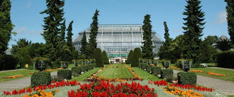 Botanischer Garten und Botanisches Museum Jerman