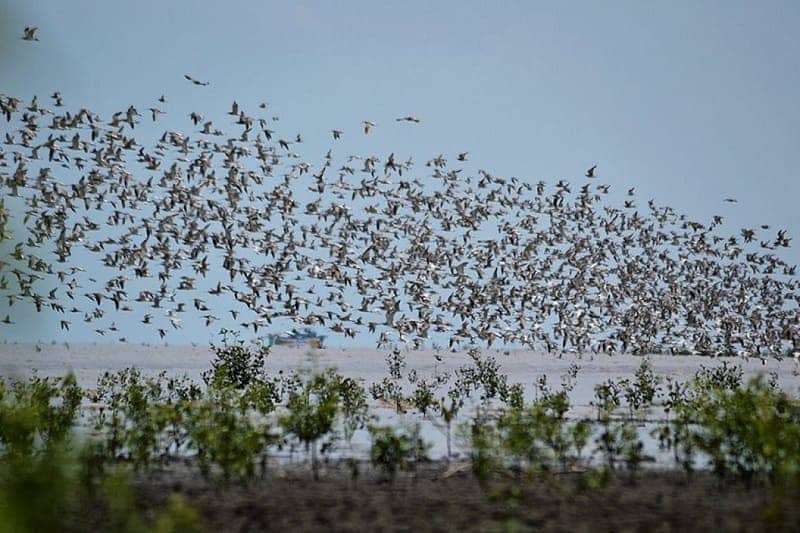 Taman Nasional Indonesia yang Masuk Dalam Daftar UNESCO