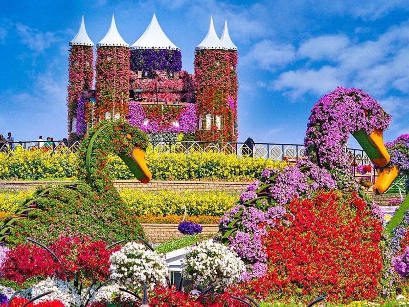 Dubai Miracle Garden Dubai