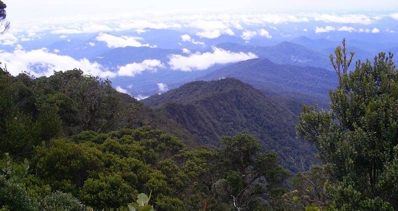 Gunung tertinggi di Kalimantan