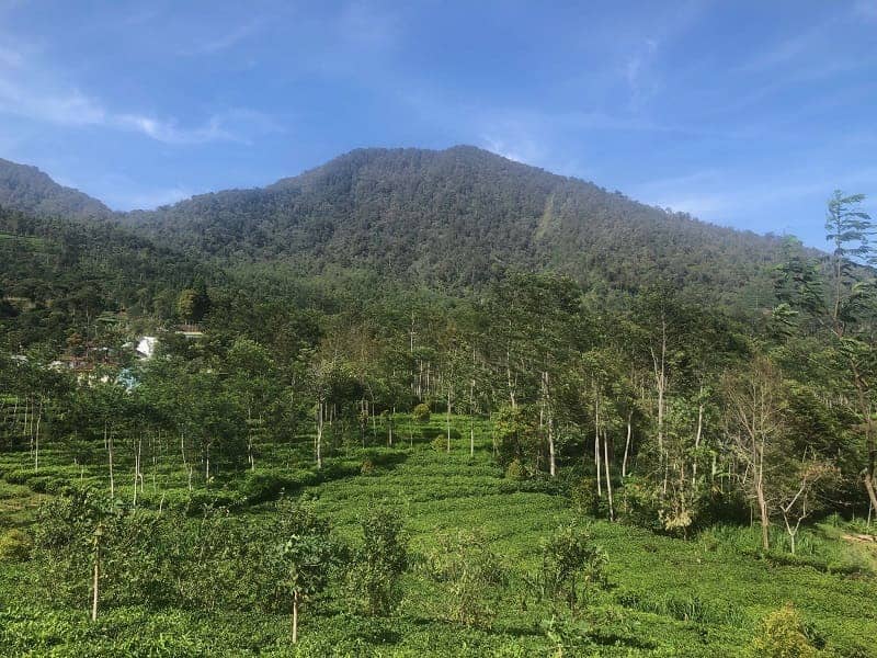 Gunung Kemul Kalimantan