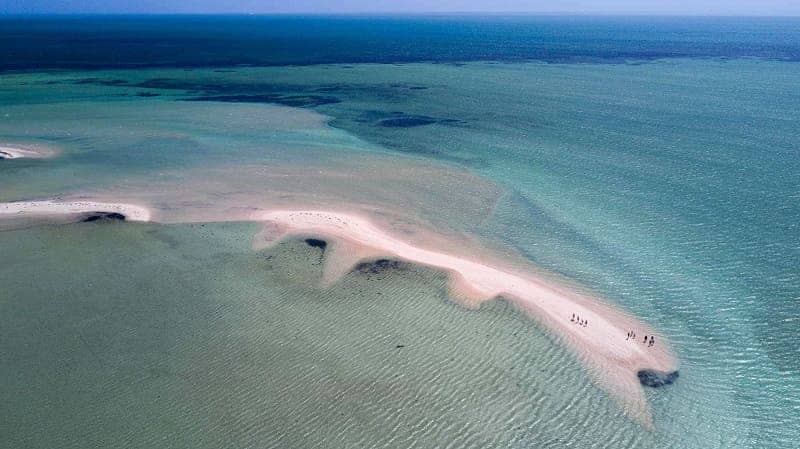 Shark Bay