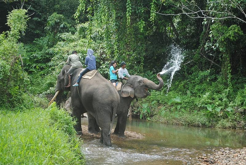 Taman Nasional Indonesia 