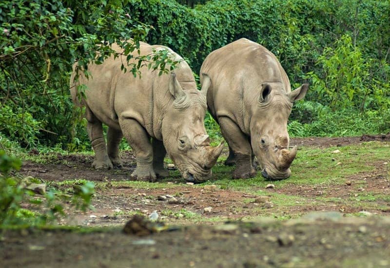 Taman Nasional Indonesia  Dalam Daftar UNESCO