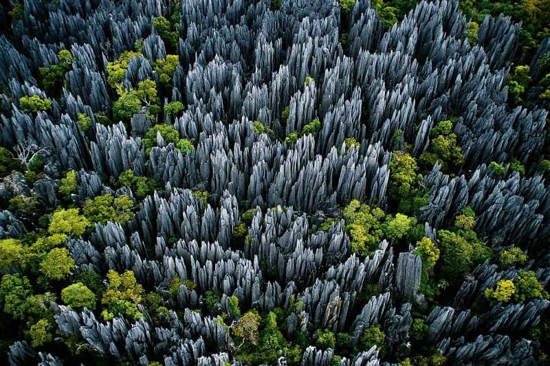 singy de Bemaraha National Park Madagaskar
