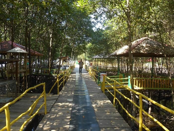 Bontang Mangrove Park