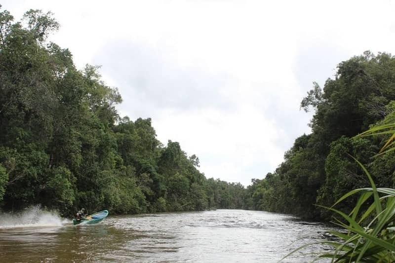 Botum Sakor National Park