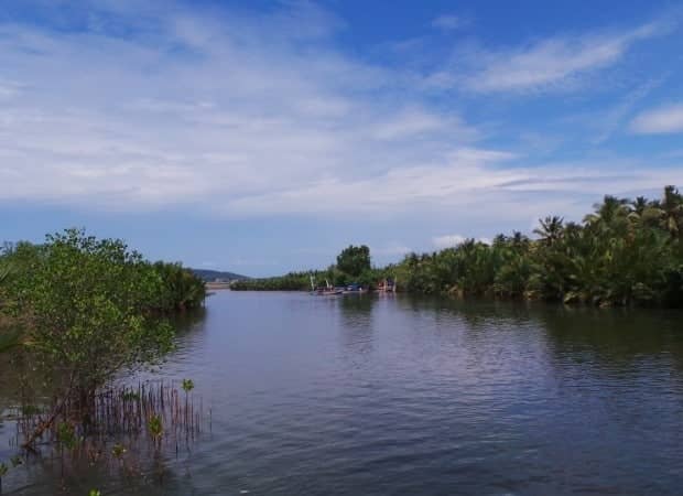 Wisata mangrove di Jawa Barat