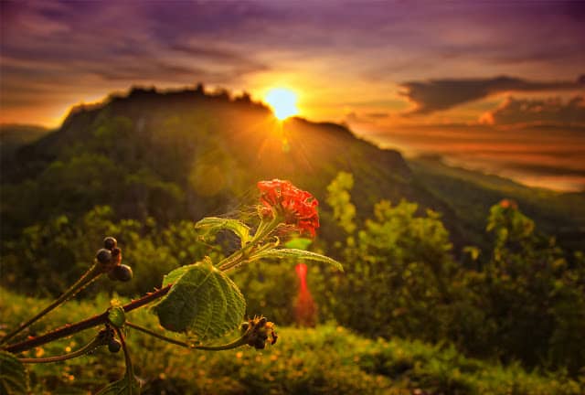 Gunung Api Purba Nglanggeran