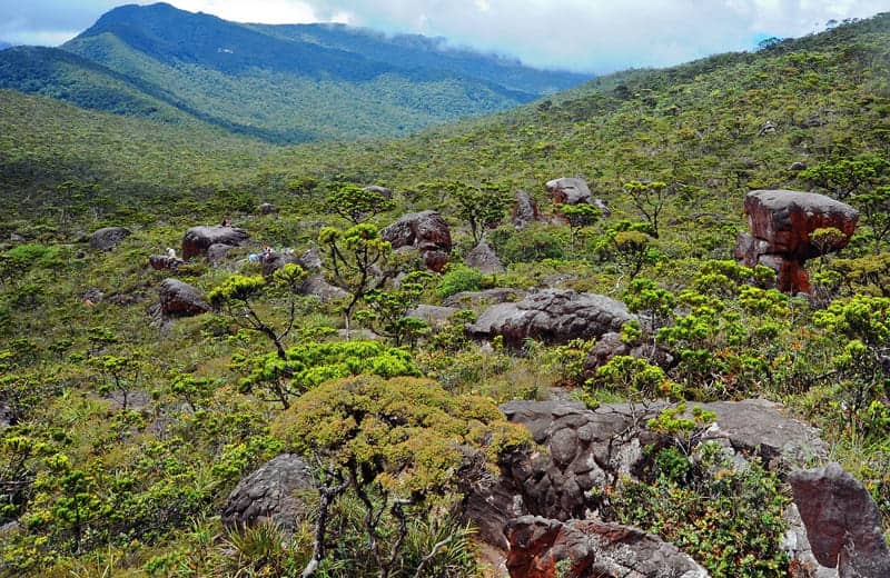 Gunung Tertinggi di Malaysia