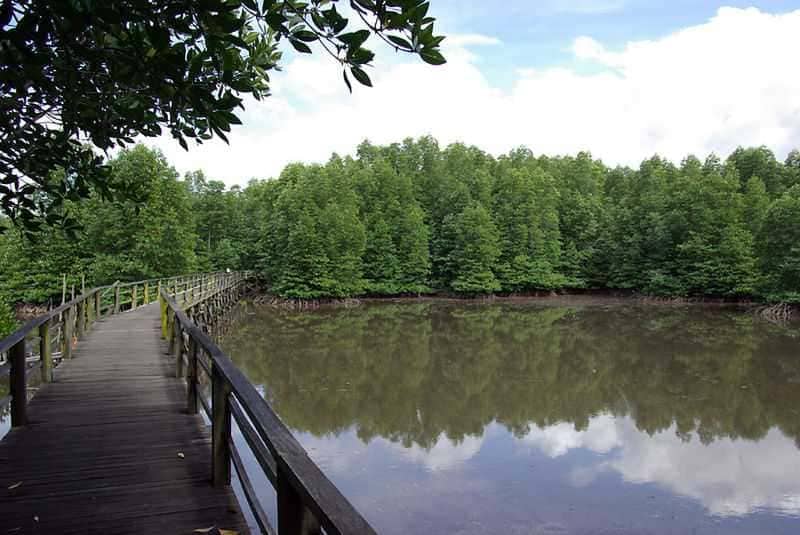  Kota Kinabalu Wetland Centre