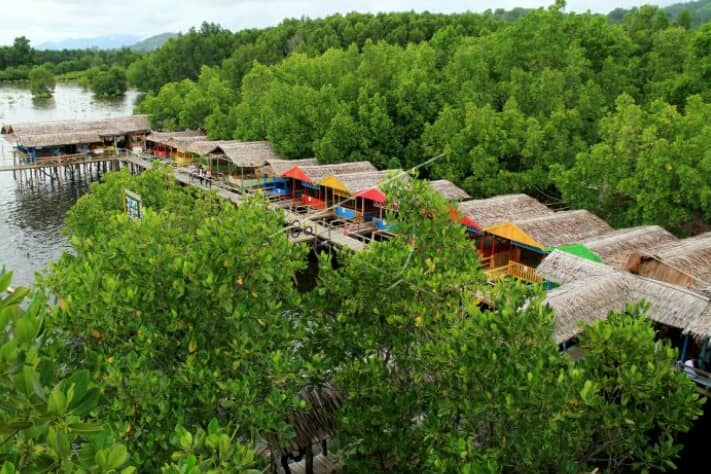 Wisata Mangrove Bebanga