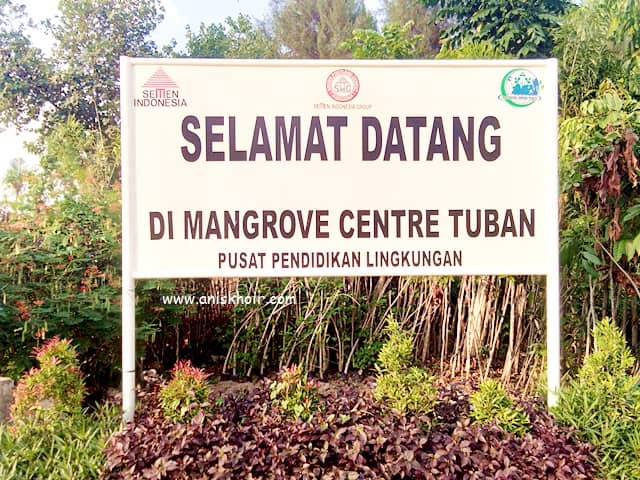 Mangrove Center, Tuban