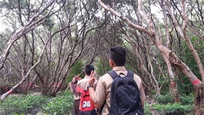 Wisata Mangrove di Sulawesi