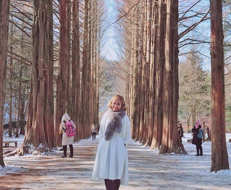 Nami island